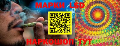 шишки Ивантеевка