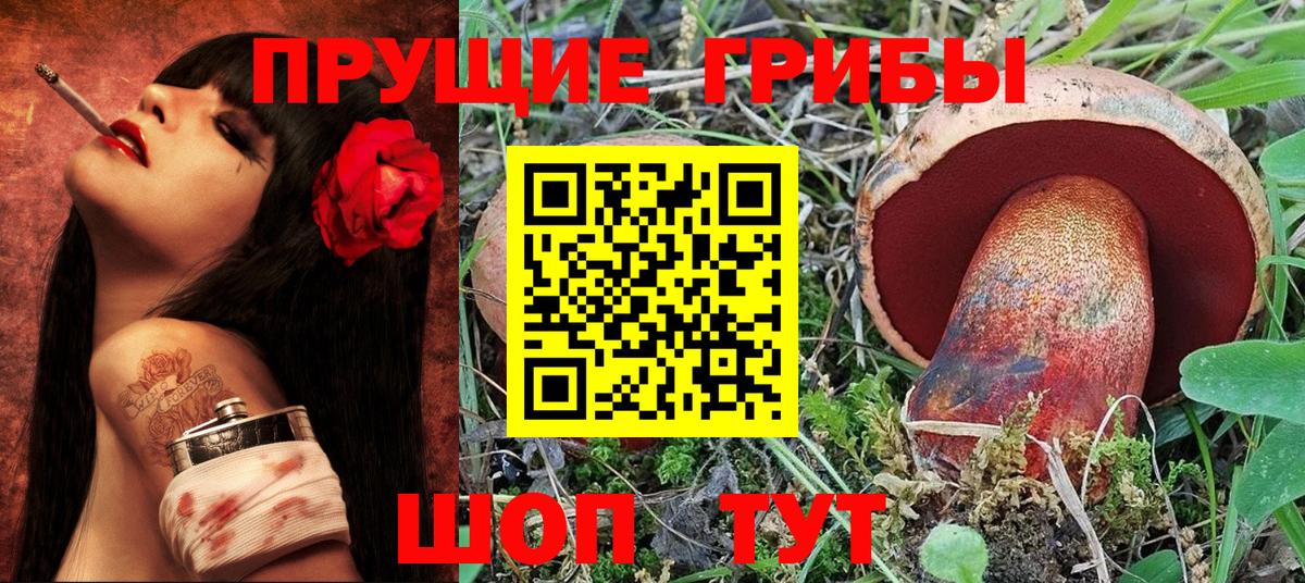 Владивосток  Псилоцибиновые грибы MAGIC MUSHROOMS  Псилоцибиновые грибы MAGIC MUSHROOMS  Вход с VPN 