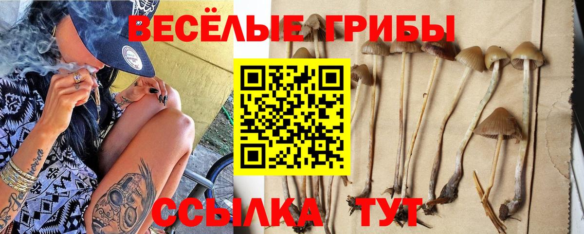 Галлюциногенные грибы Psilocybe Владивосток